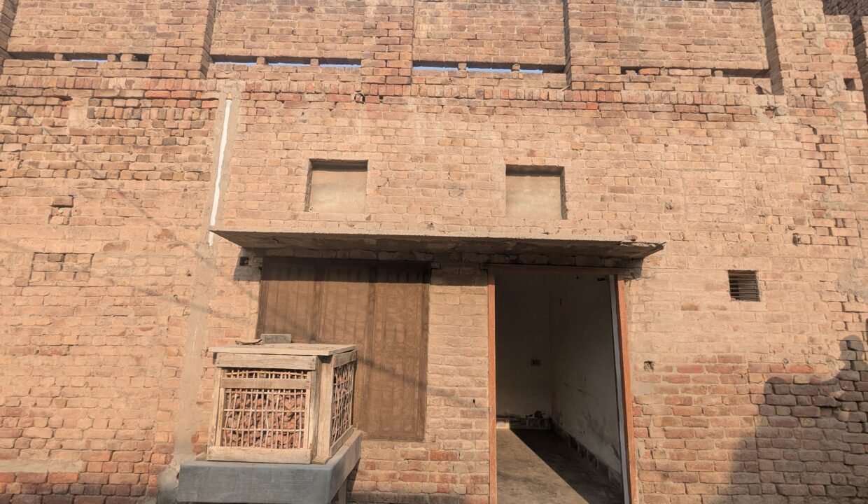 PXL_20250116_093459405
